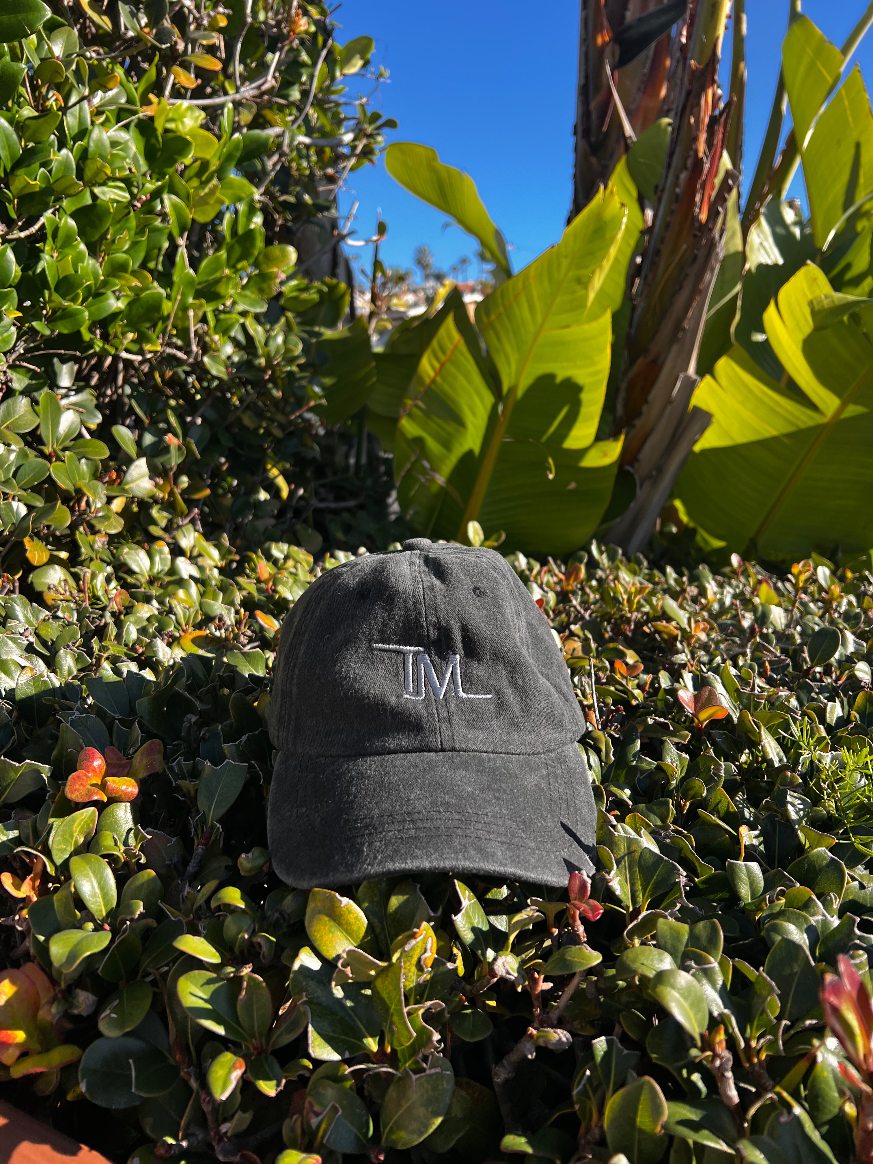 TM Stone Dad Hat