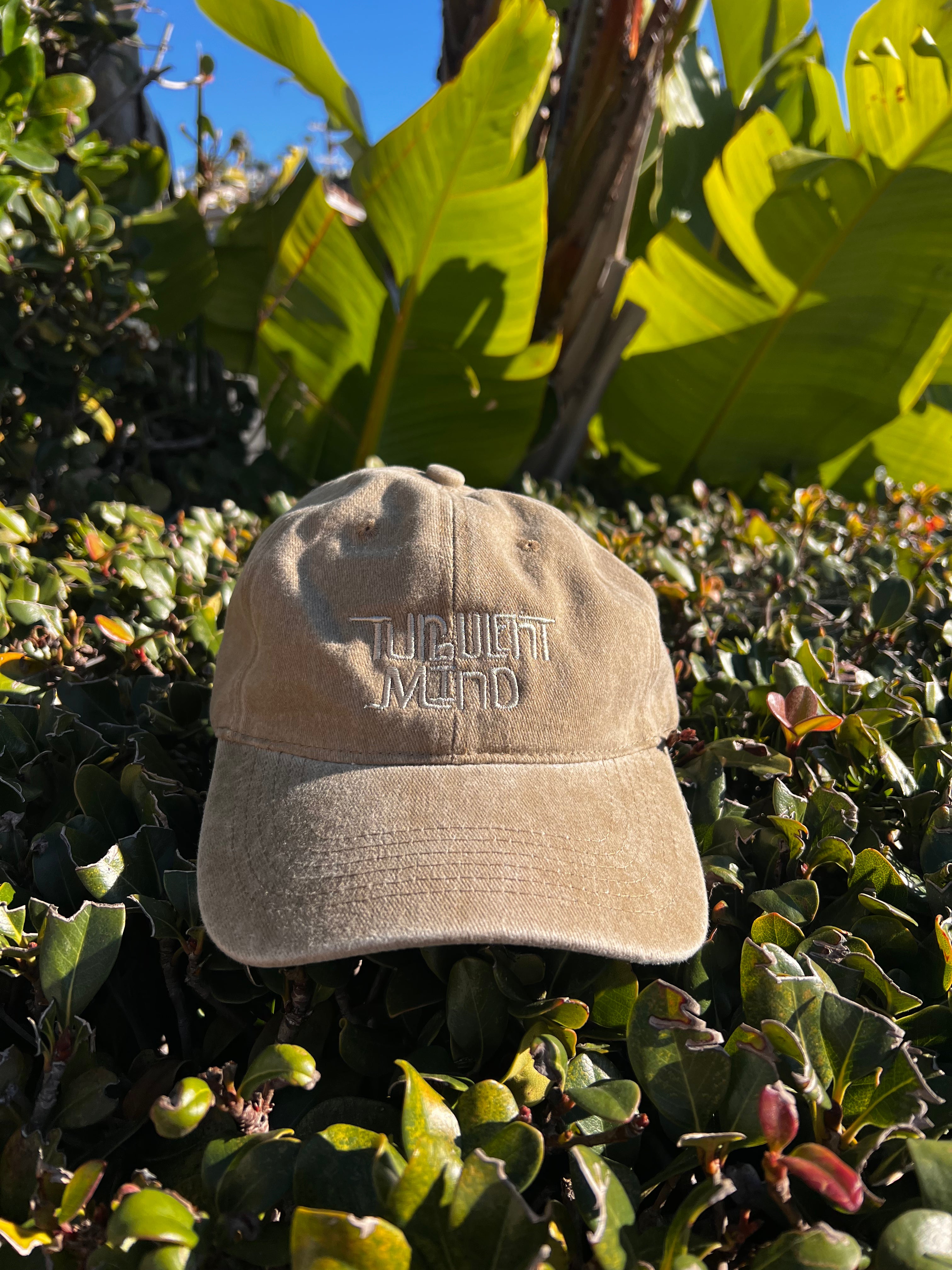Turbulent Mind Sand Dad Hat